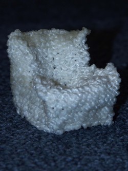 PICT3176.JPG